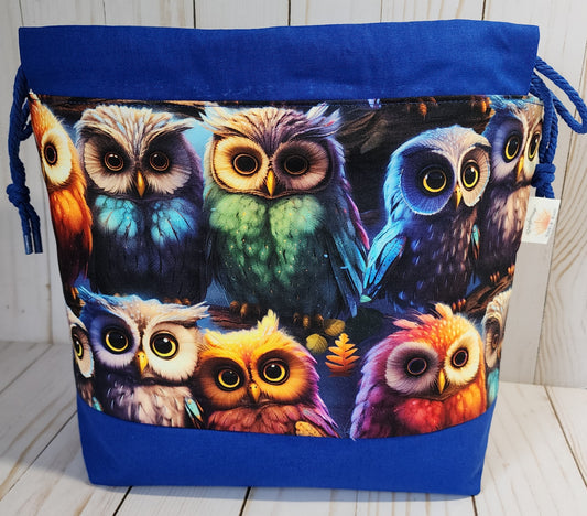Owl Medium Drawstring Project Bag Reserved for Theresa