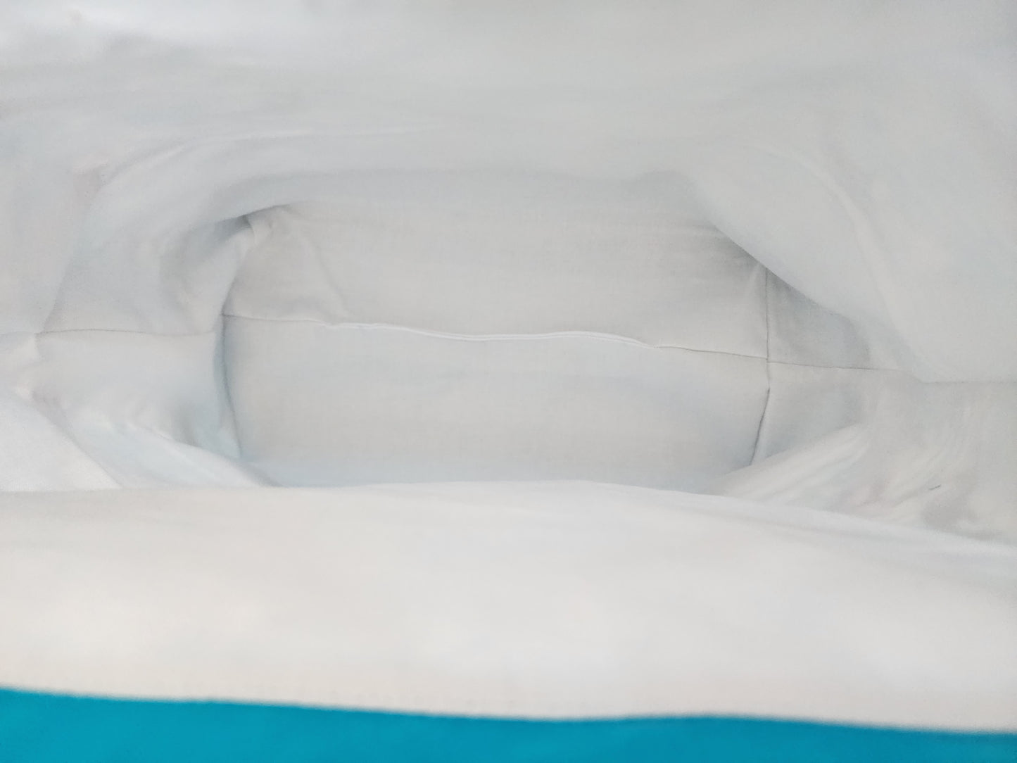Dolphins Teal Large Drawstring Project Bag